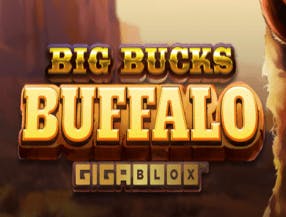 betwarrior apk